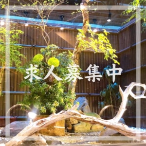 求人募集